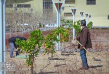 گزارش تصویری |  آیین غرس نهال و تجلیل از پرسنل زحمتکش فضای سبز و باغبانی دانشگاه صنعتی شاهرود 